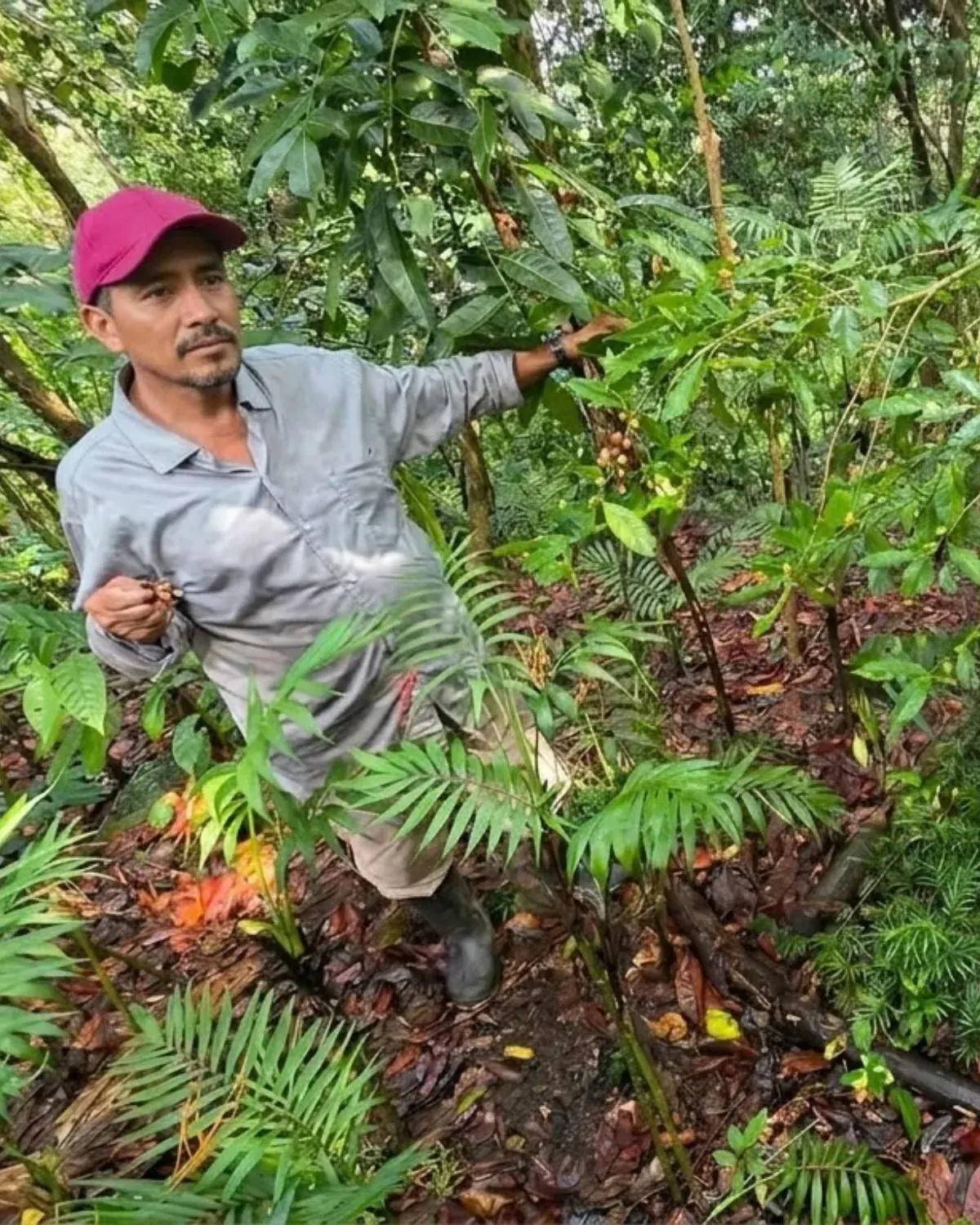 Roberto Samperio en la parcela, Ahuatitla, San Luis Potosí